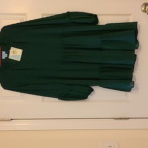 NWT CeCe dress